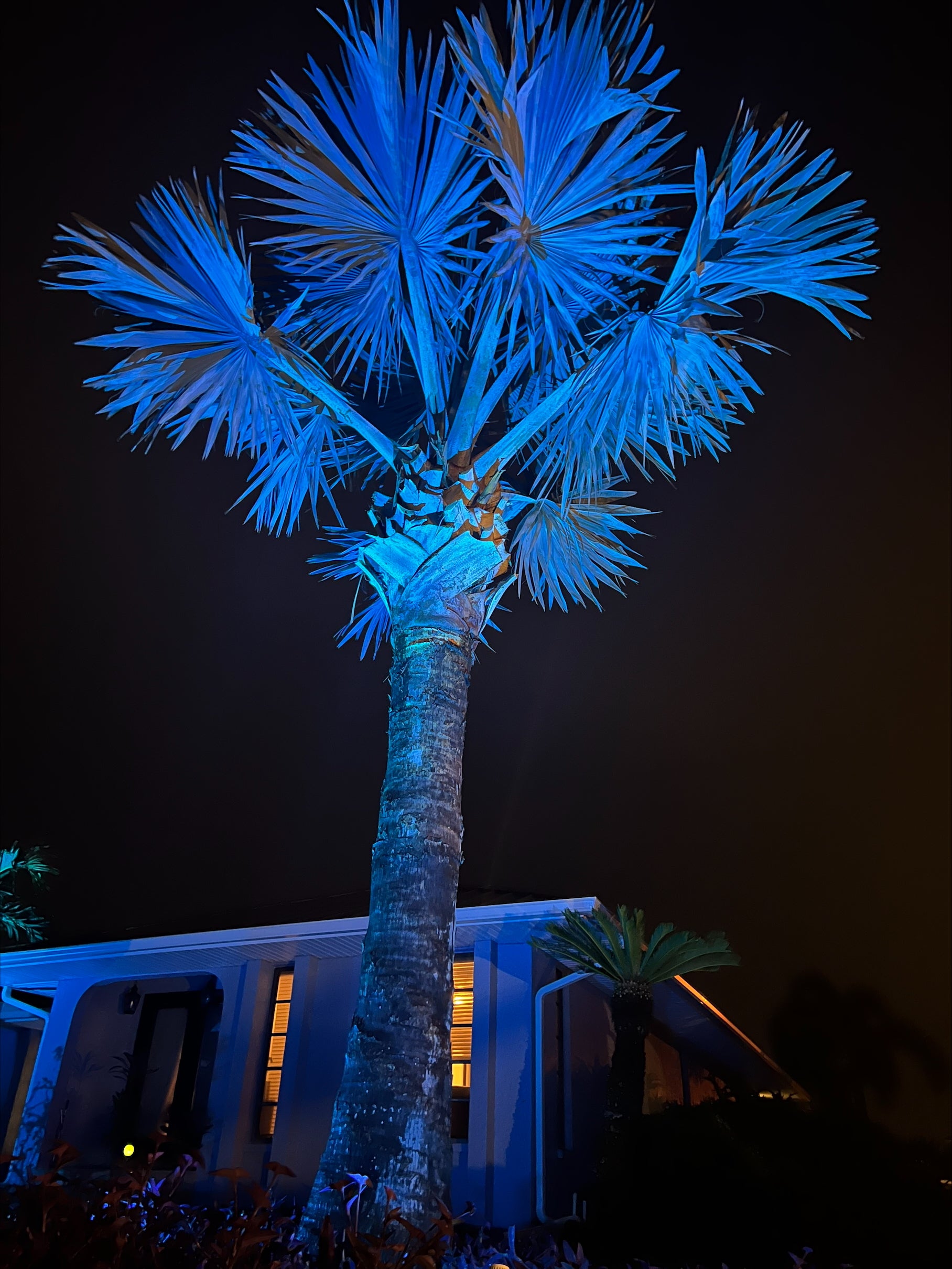 Landscape Lighting System 8 PACK