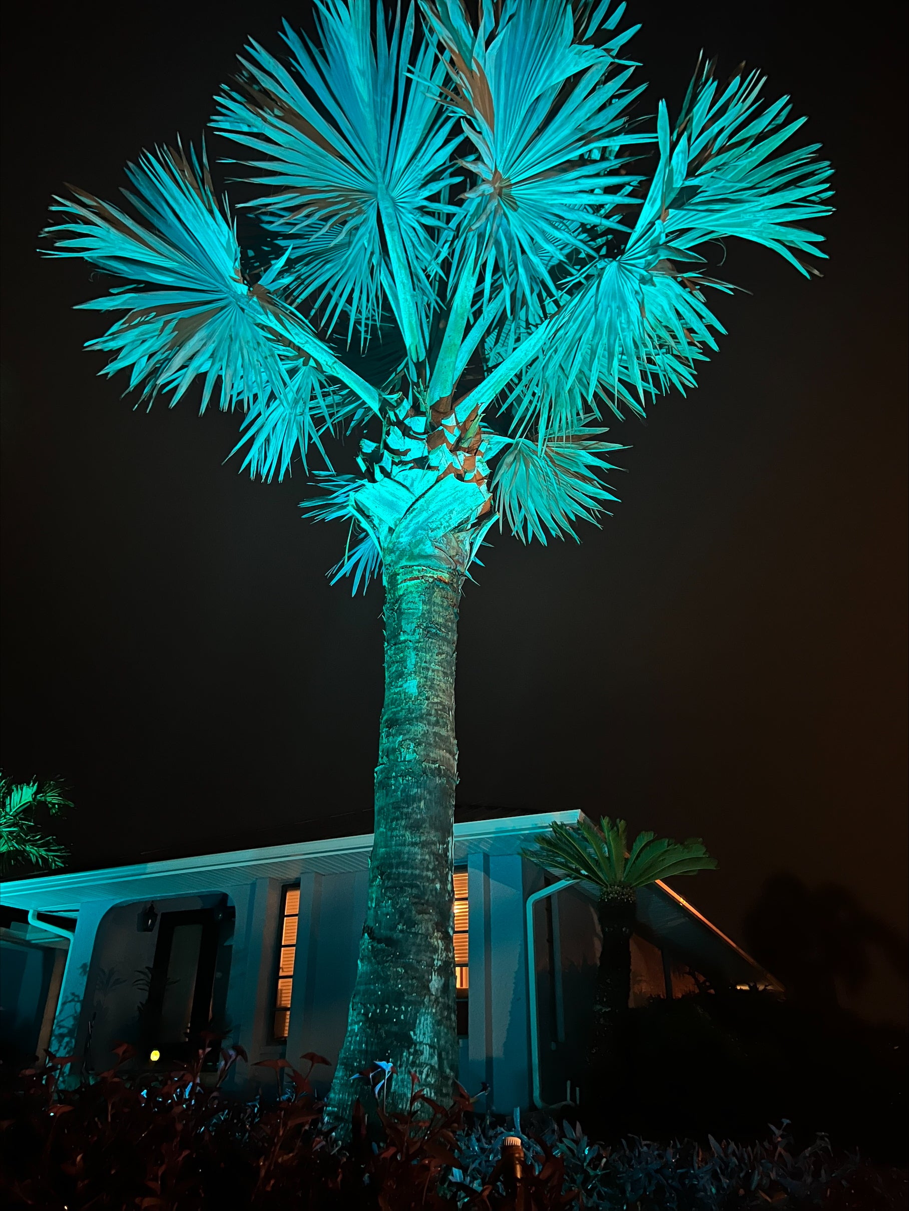 Landscape Lighting System 12 PACK