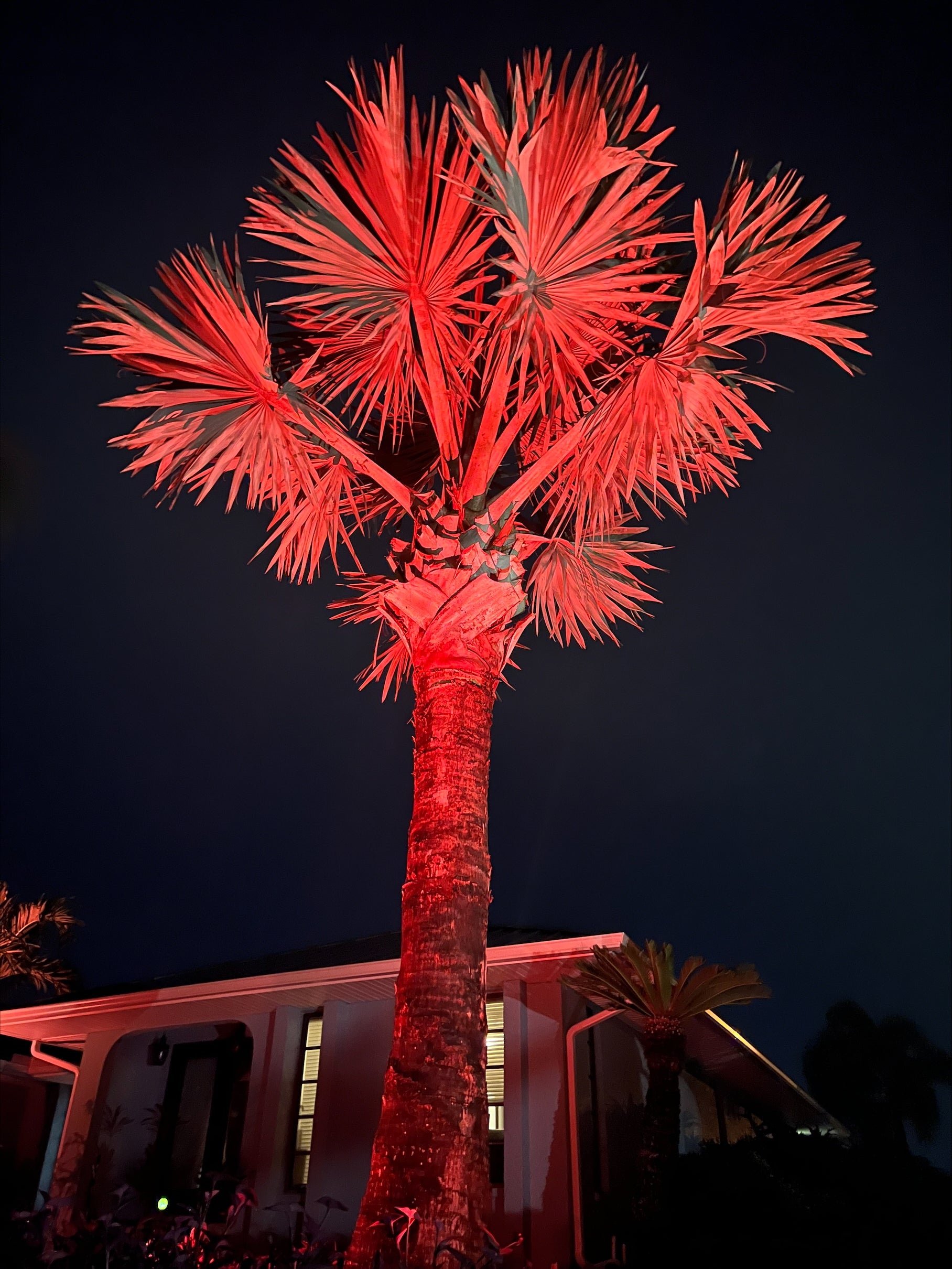 Landscape Lighting System 4 PACK