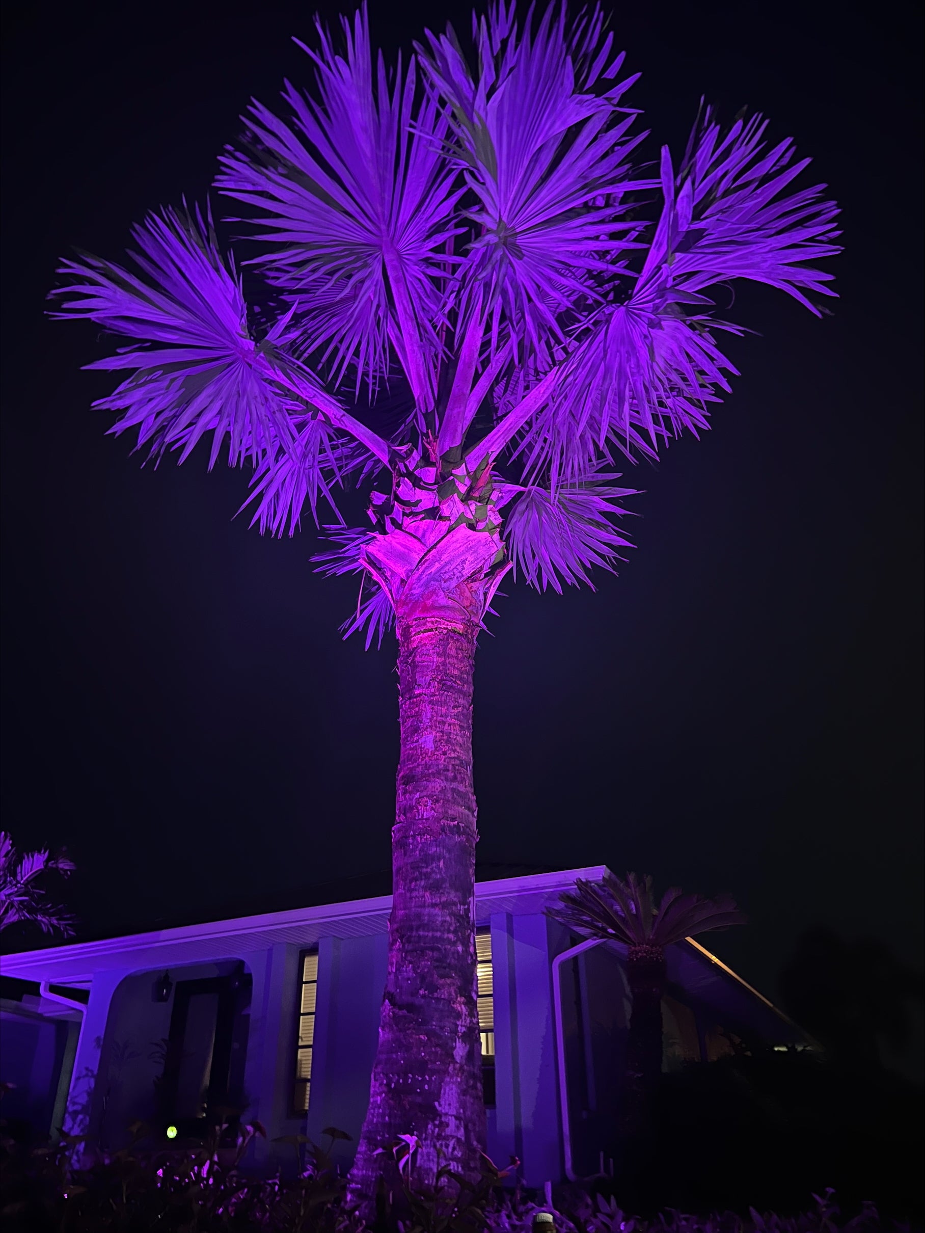 Landscape Lighting System 8 PACK