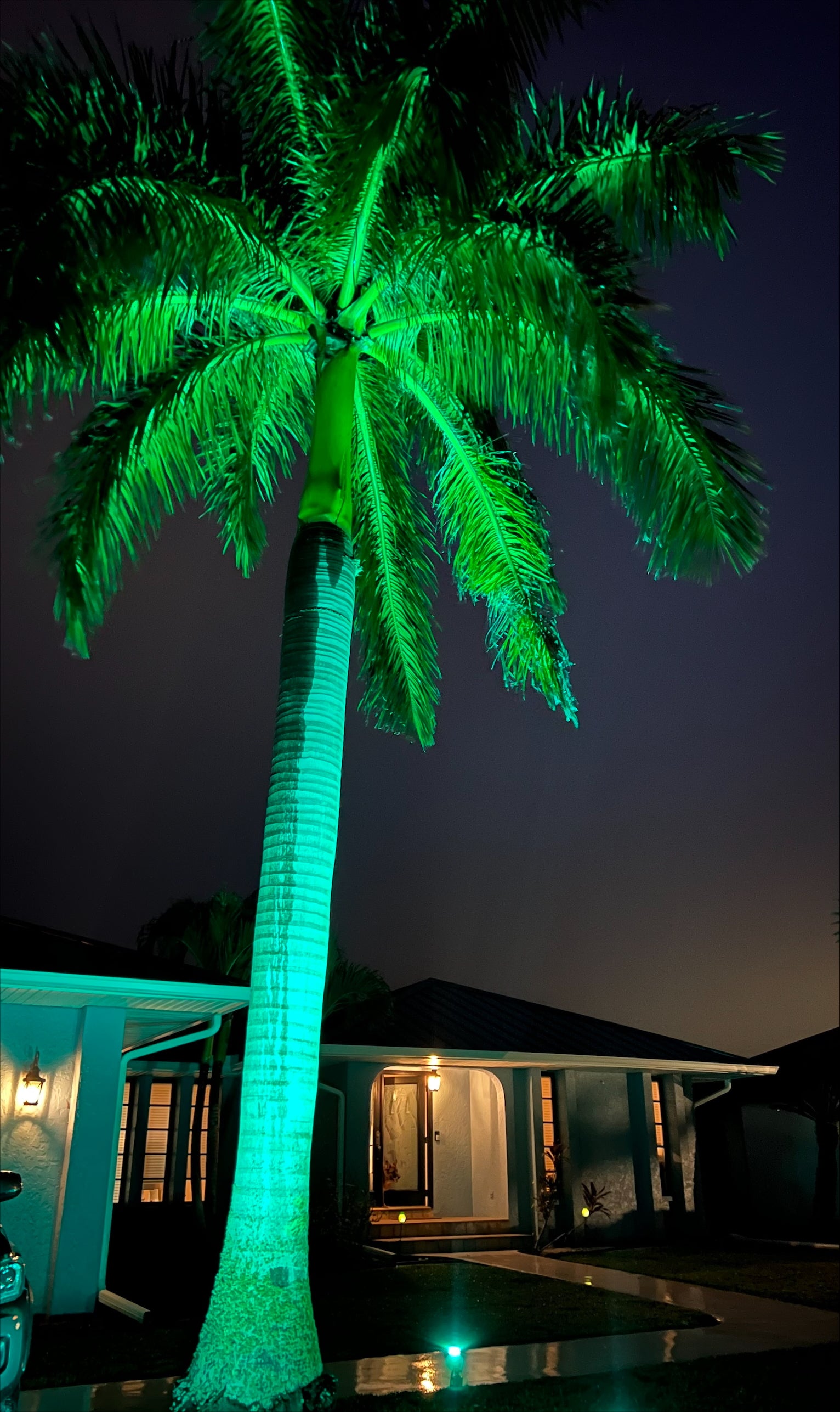 Landscape Lighting System 8 PACK