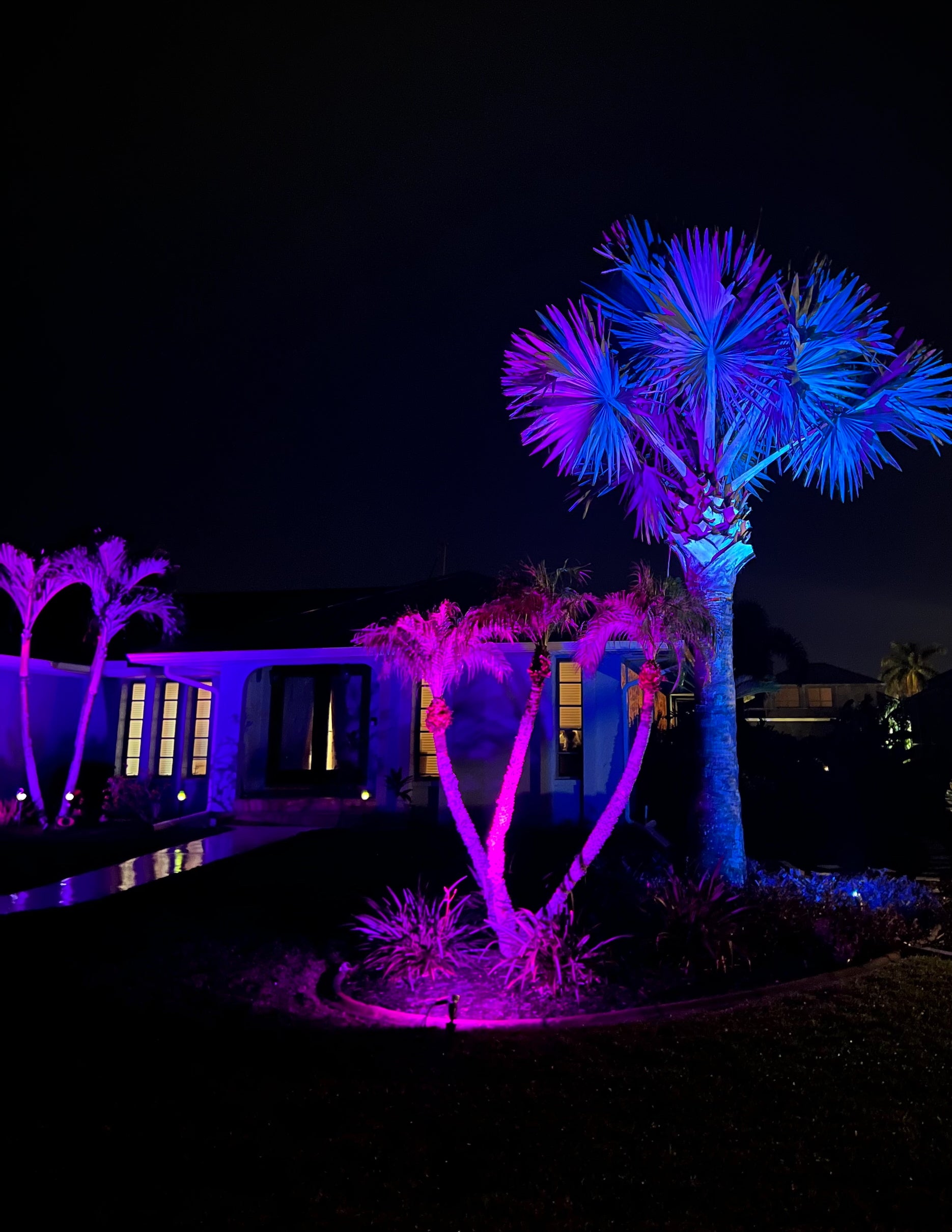 Landscape Lighting System 12 PACK