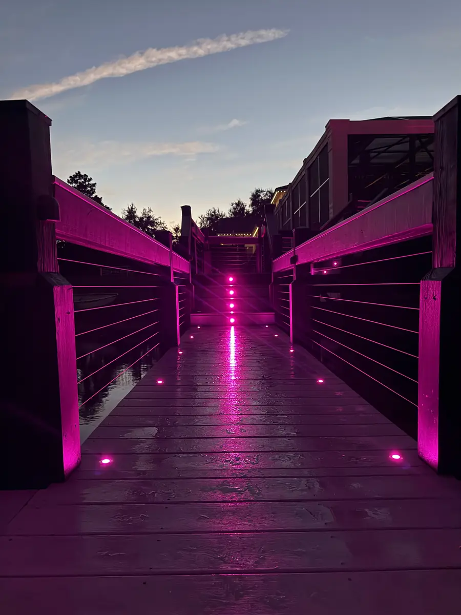 Dock walkway lit in magenta — celebration