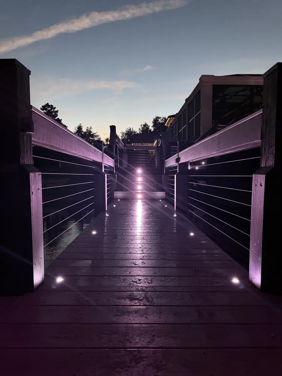 Dock walkway lit in violet — bold