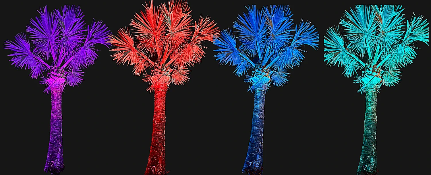 La misma palmera iluminada por una luz de piso MR16 en cuatro colores distintos &mdash; violeta, rojo, azul y verde azulado &mdash; fotografiada de noche