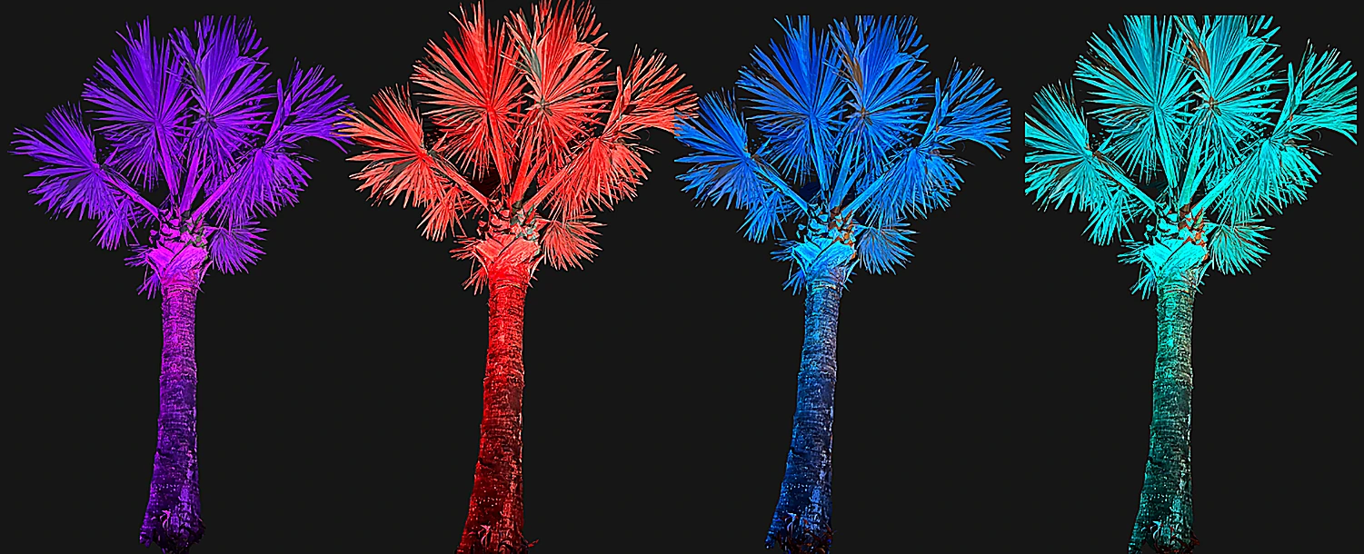 The same palm tree lit by an MR16 up light in four different colors &mdash; violet, red, blue and teal &mdash; photographed at night