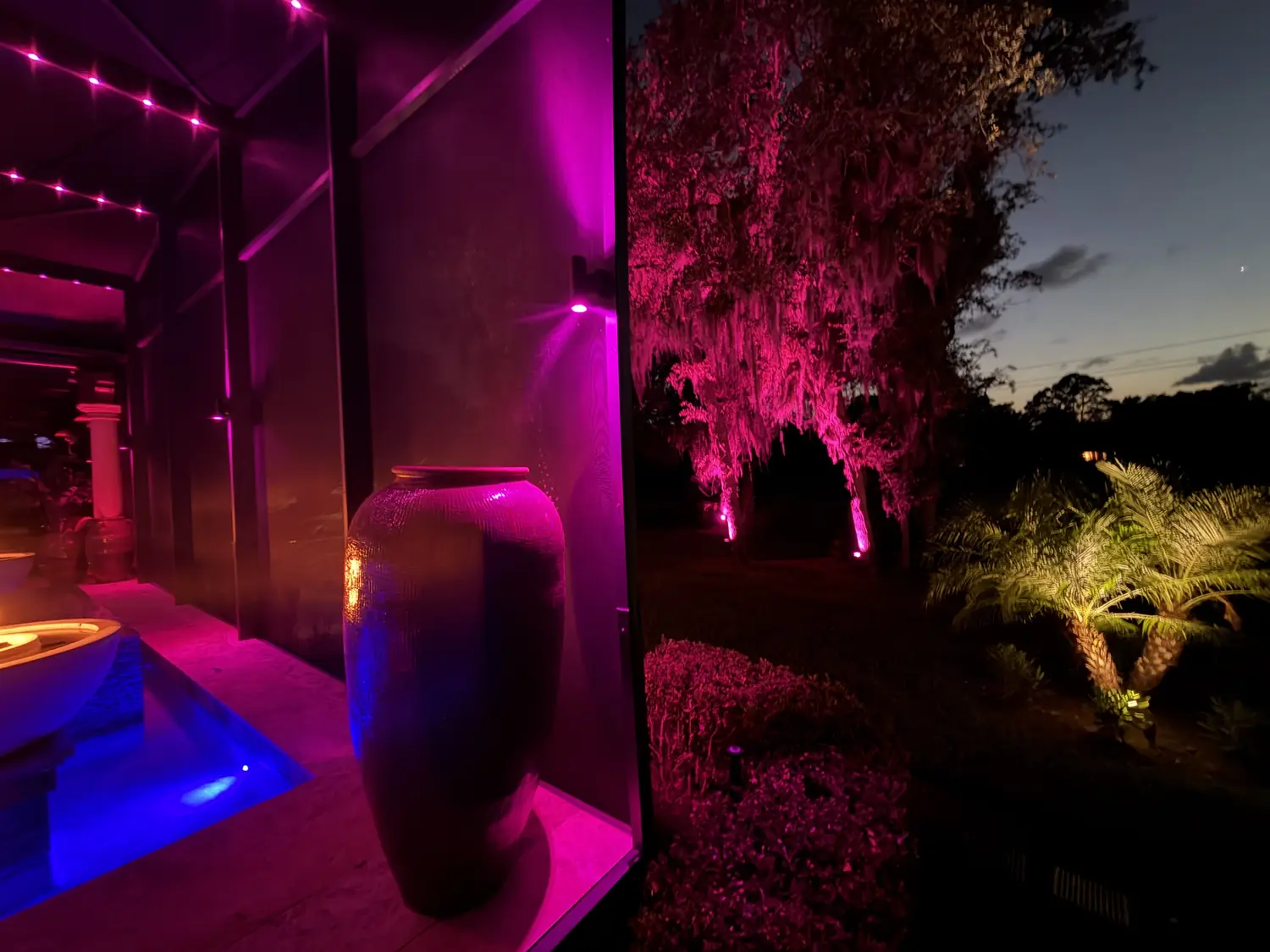 Pool enclosure sconces and tree uplights in magenta at dusk with the pool glowing blue